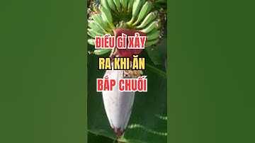 Điều gì xảy ra khi ăn bắp chuối