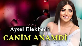 Aysel Elekberli - Canim Anamdi - 2025 Official Audio Music