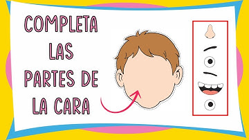 COMPLETA LAS PARTES DE LA CARA / JUEGO INTERACTIVO EN POWERPOINT