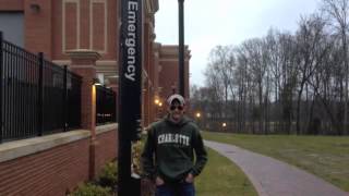 Mother Natures Paradise Music Video By Yesterdays Trash