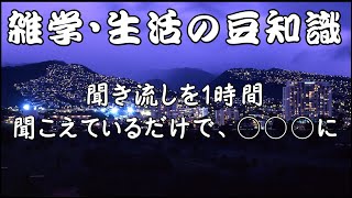 【雑学】【聞き流し】雑学・生活の豆知識…その他、取りまとめ集。睡眠・作業用・脳トレにも。