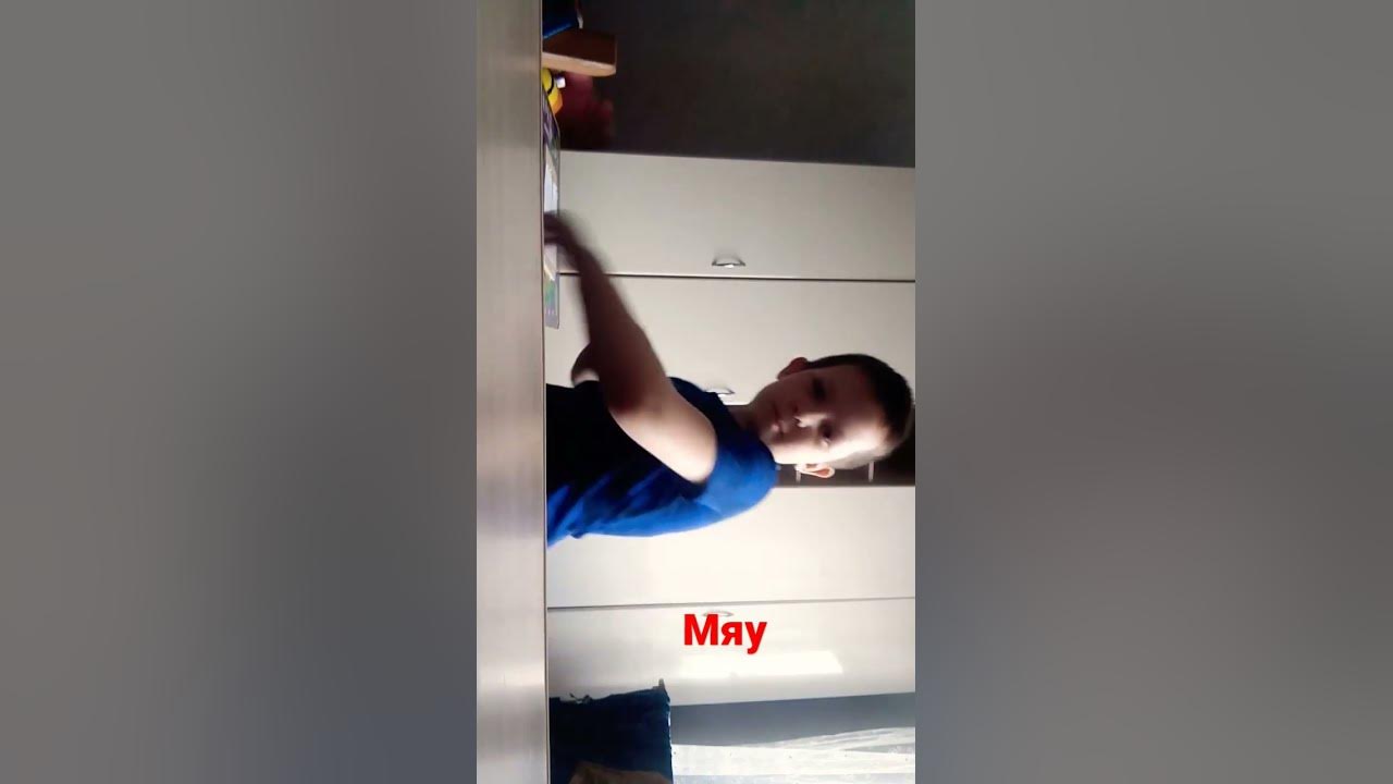 Мяу Мяу Мяу - YouTube