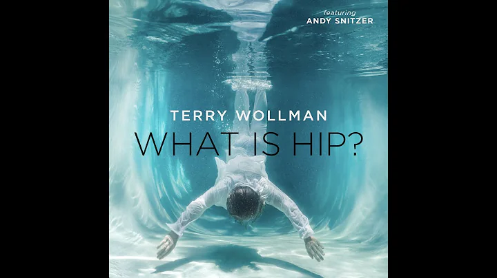 Terry Wollman - What Is Hip (Official Audio)