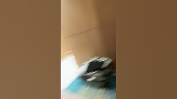 Day 4 making a loop till I go viral #funny #loop #satisfyingloop #endlessloop #perfectloop