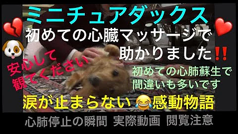 ファッウーン心肺停止 ファッウーン心肺停止