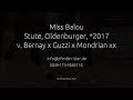 Miss Balou Oldenburger Stute v. Bernay *2017