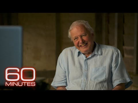 60 Seconds with Sir David Attenborough on literature, optimism and death