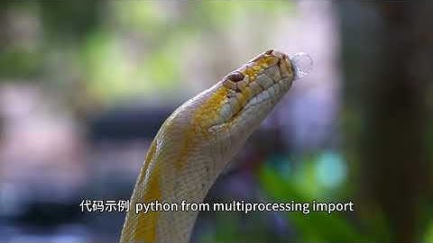 通过多线程或多进程优化 Selenium 爬虫，可以显著提高爬取效率；使用 Pandas 处理异常值则能确保数据质量。