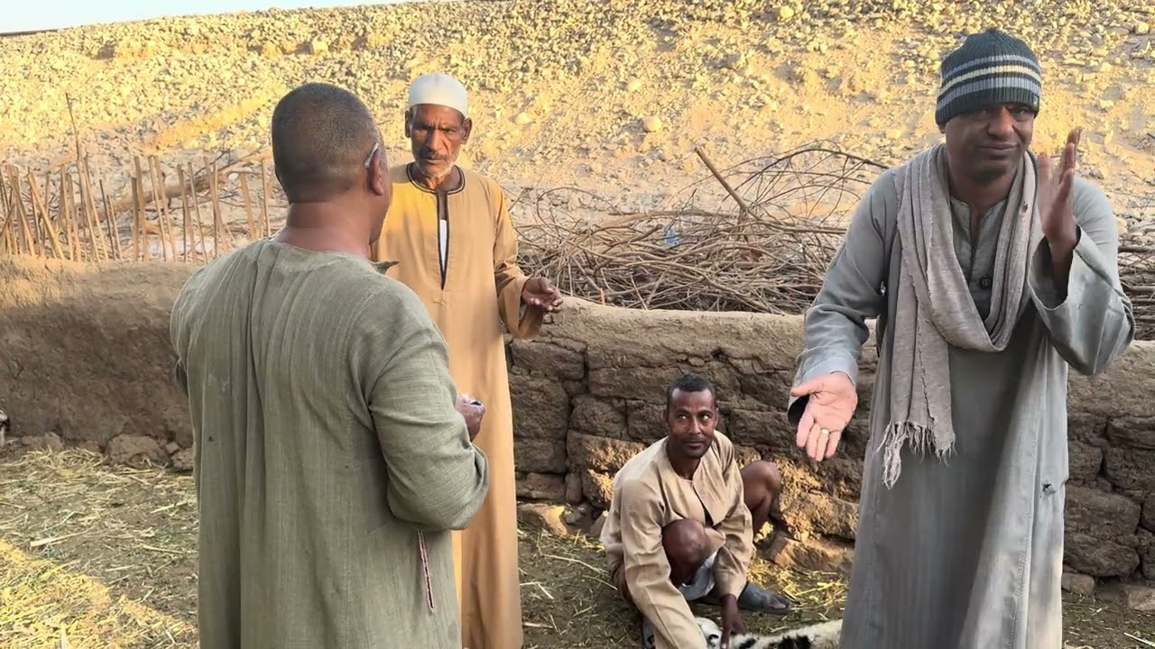 الحاج الضوى بيطعم البهايم 😂😂😂