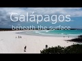 BOKUdoku Galápagos beneath the surface - TRAILER
