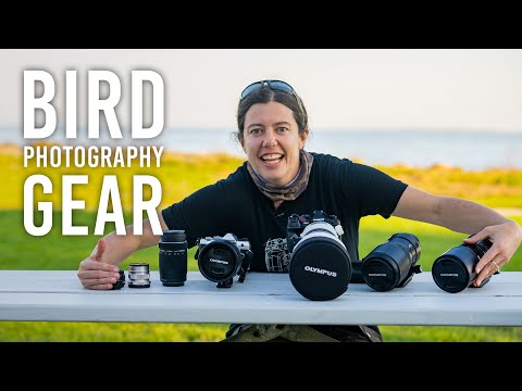 Emilie Talpin's Bird Photography Gear