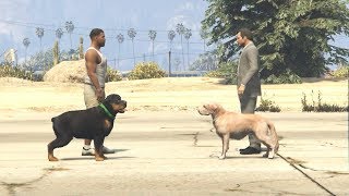 أخطر تحدي بين كلب مايكل و كلب فرانكلين في قراند 5؟ GTA V CHOP VS MICHAEL DOG