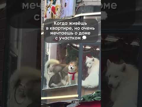 Земельные участки и готовые дома в Калининградской области! #калининград #недвижимость