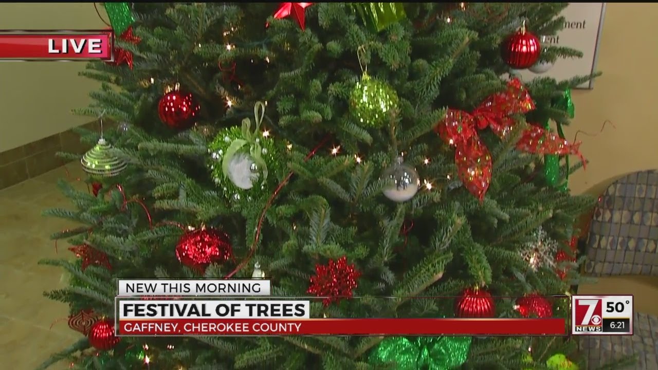 Festival of Trees