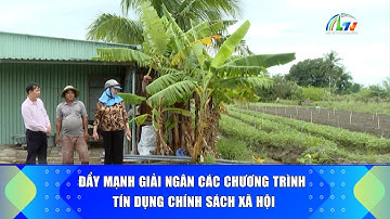 Đẩy mạnh giải ngân các chương trình tín dụng chính sách xã hội | Báo và PTTH Lâm Đồng