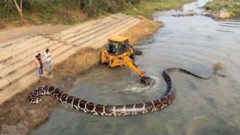 JCB 3dx Xpert Machine Loading Mud Tractor
