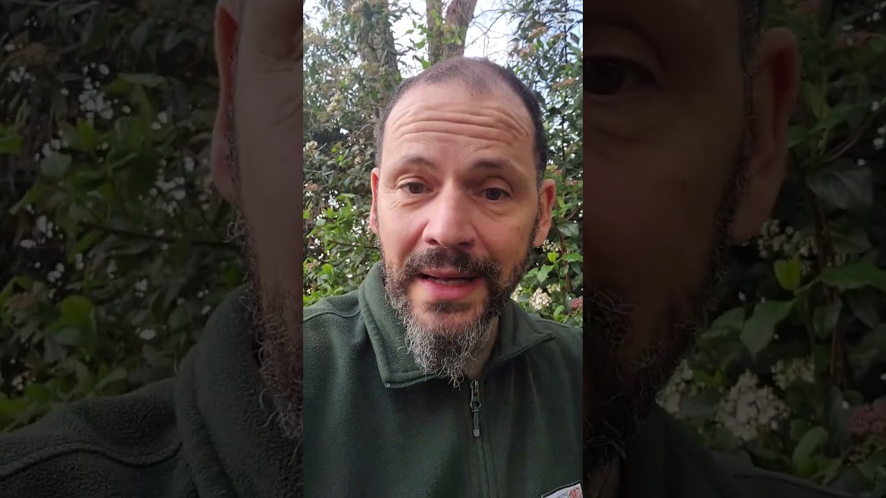 Il LUPO è COME TE... OPPORTUNISTA 100€ le raccogli?