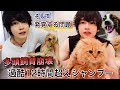 超過酷!12時間超えシャンプー!多頭飼育崩壊現場からレスキューした犬猫たち