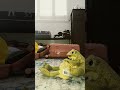 Yipeee #funny #funnyshorts #helpmemakethismakesense #frog