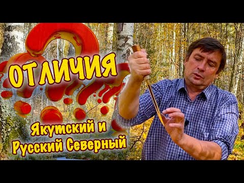 Отличия якутских и русских северных ножей