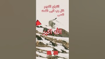 #القران_الكريم #تلاوه_خاشعه #foryou #قال رب انیی ظلمت نفسی #المصحف الشیخ محمود الشحات #foryou
