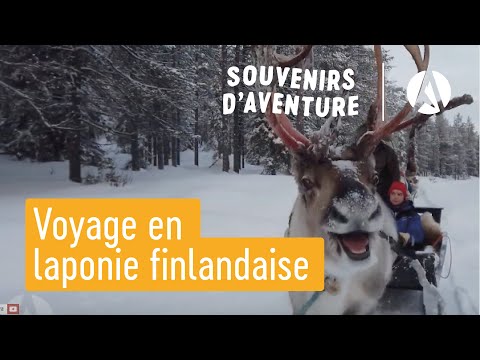 Vidéo: La Finlande Est La Meilleure Destination De Voyage Pour La Faune Sauvage En