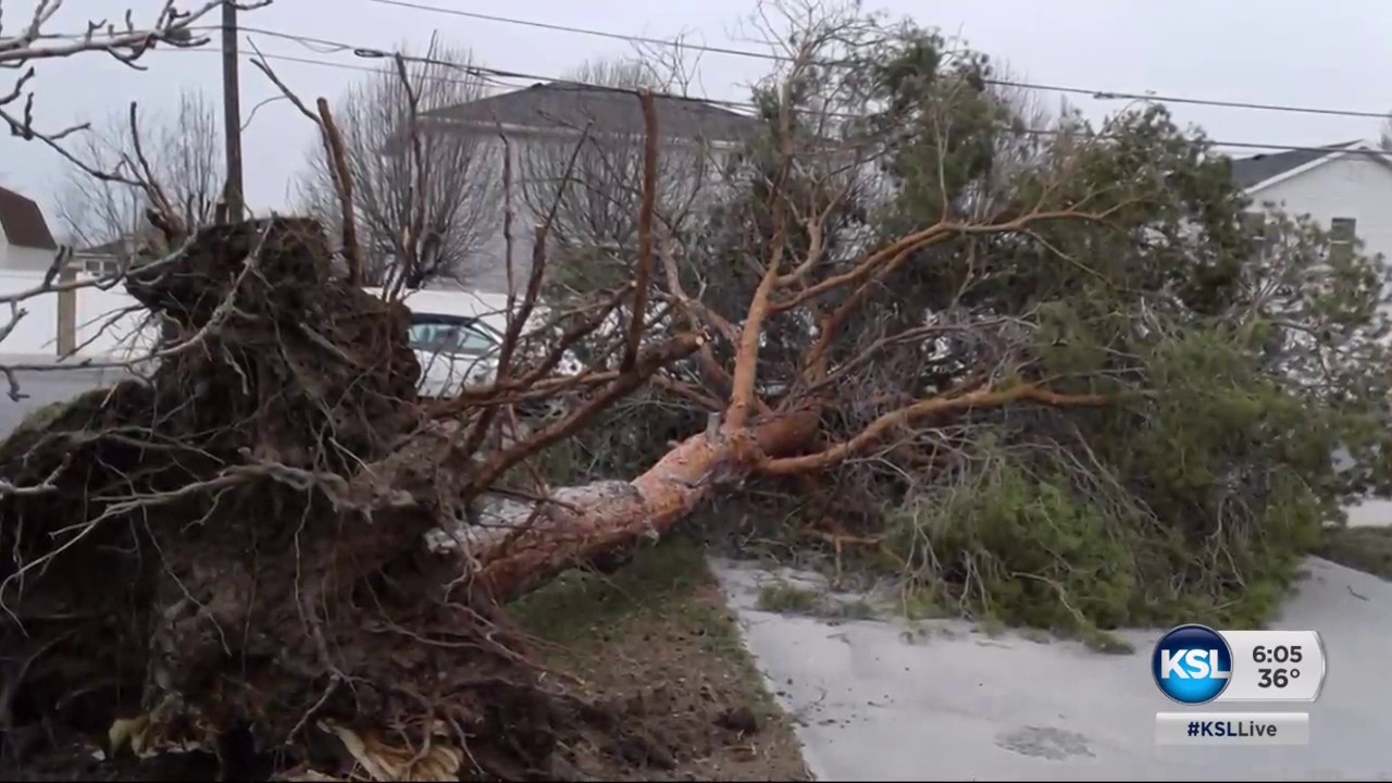 A wind storm causes damage across Utah YouTube