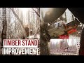 Timber stand improvement tsi for all wildlife