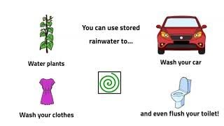 Rainwater and its uses.