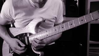 ANOTHER BRICK IN THE WALL - David Gilmour Guitar Solo Cover (best playthrough)