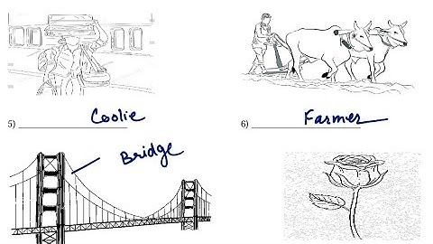 Class-4 EVS /  Half Yearly  Exam Question Paper / CBSE Exam for Kendriya Vidyalaya Students