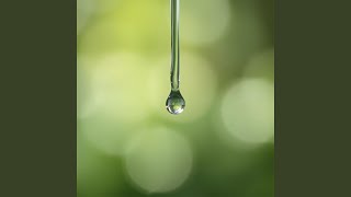 Raindrop Reverie