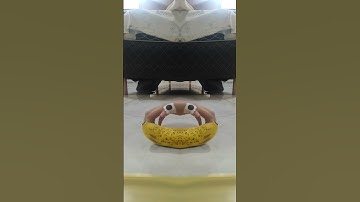 Crazy floating hand spider