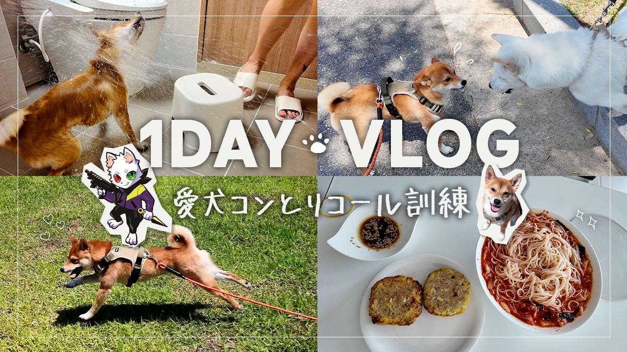 【vlog】愛犬コンちゃんとリコール訓練したり走ったり、一人暮らしをするRasの一日