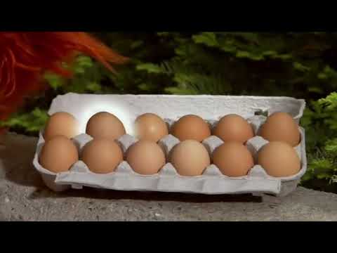 Numbers In Sesame Street 1 20 