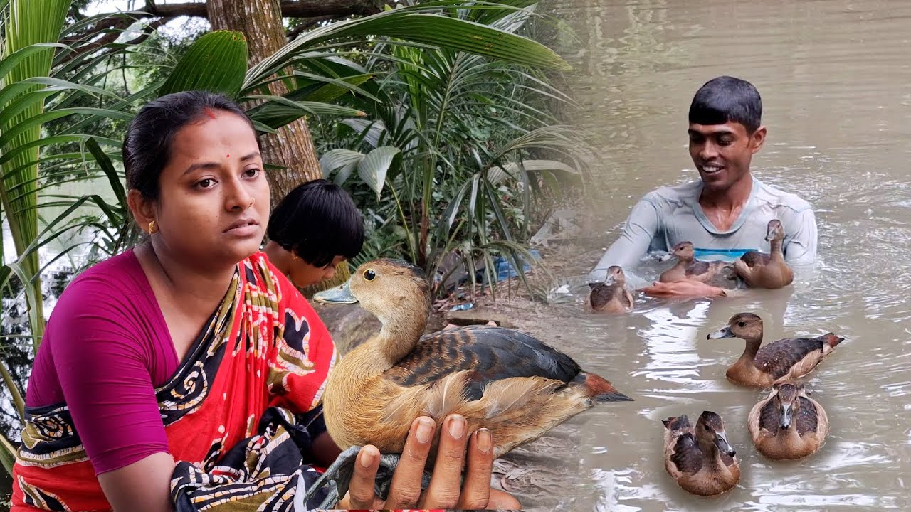 তিন মাস ধরে এদেরকে যত্ন করে বড় করেছি ,এখন সব মায়ার বাঁধন কাটিয়ে বন্য প্রাণী গুলিকে ছেড়ে দিতে হবে