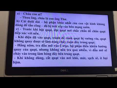 Video HDHT lớp 4 môn luyện từ và từ câu, Bài: Dấu gạch ngang