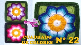 Como tejer el Cuadrado o muestra de colores N° 22 a crochet para colchas y cojines paso a paso
