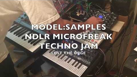 MODEL:SAMPLES, NDLR, MICROFREAK TECHNO JAM - LOST THE URGE