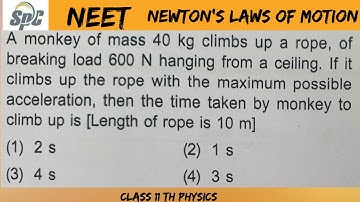 A monkey of mass 40 kg climbs up a rope, of breaking load 600 N hanging from a ceiling.  If it climb
