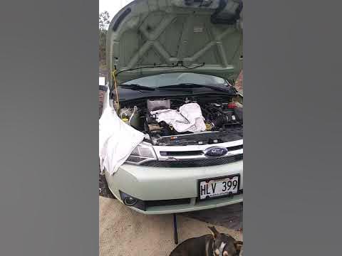 Replacing the water pump on a 2010 Ford Focus SEL part 1 - YouTube