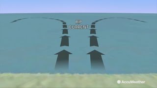 How to survive if you're caught in a strong rip current