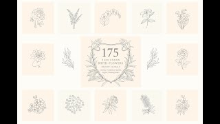 Birth Flowers Trendy Plants Logos Vector Illustrations Stock Graphics Download