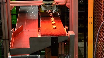 RoboVis and Kawasaki RA06L machine loading a B2B machine