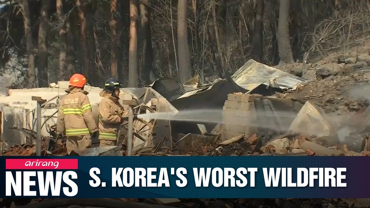 S. Korea battling its worst wildfire in years - YouTube