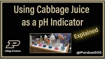 Using Cabbage Juice as a pH Indicator