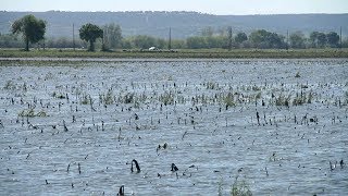 Portugal Play - Cheias nos Campos da Golegã em 2013.
