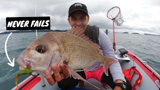 The softbait that never fails | Snapper fishing in Auckland | New Zealand fishing screenshot 1