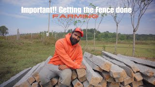 Village Life: Need to fix the fence ASAP or the Cattle will eat all my plants. Fence renovation DIY