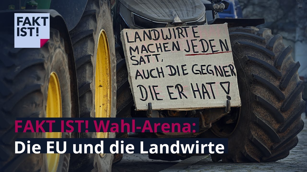 Alle Wahlprogramme aller größeren Parteien erklärt | EU-Wahl 2024